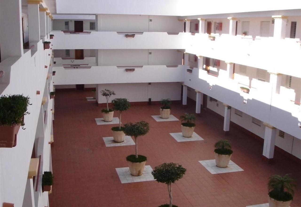 Fabulous Sunny Apartment 阿尔梅利马 外观 照片